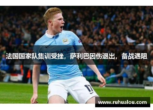 法国国家队集训受挫，萨利巴因伤退出，备战遇阻
